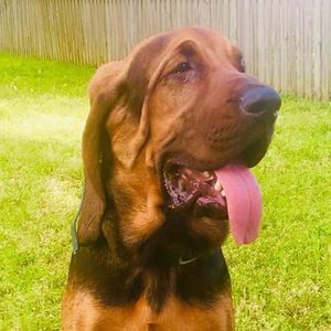 Meet your Posher, Jimmy